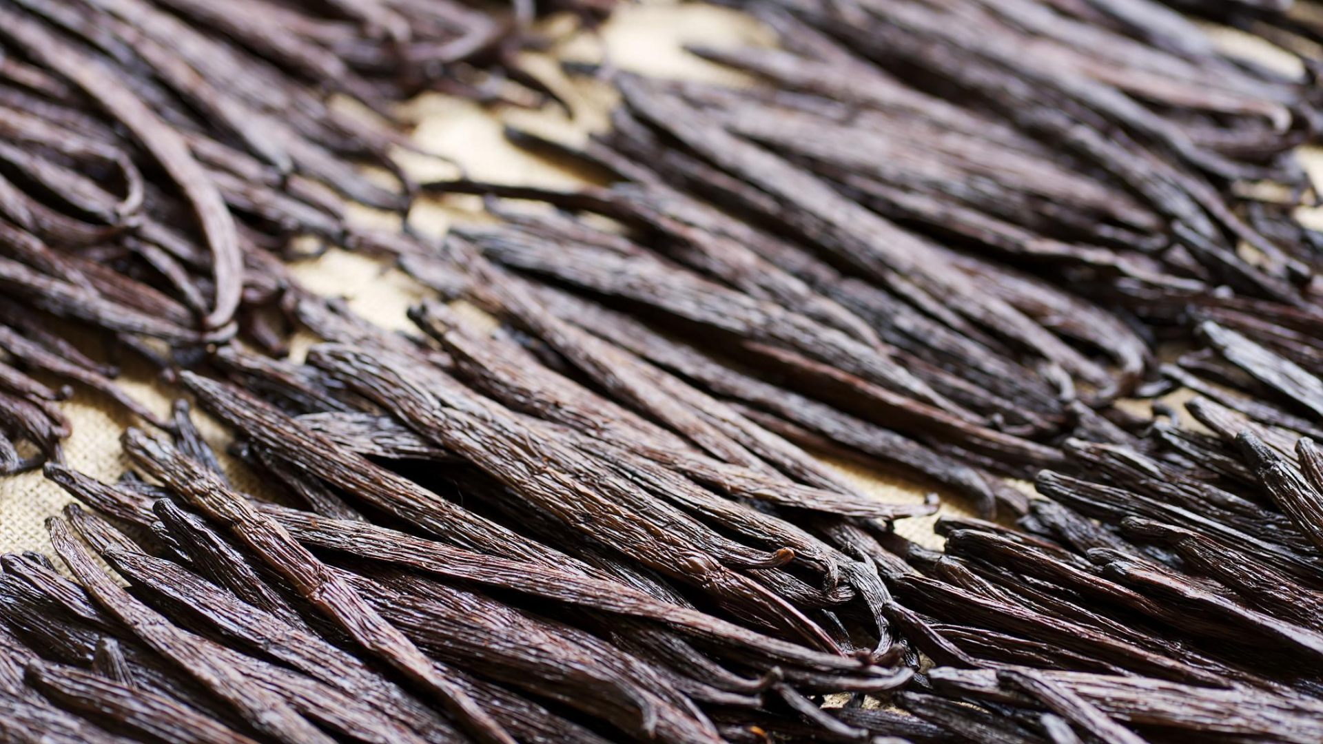 Gourmet vanilla beans